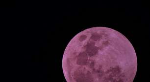 A "Lua rosa" da Europa não é rosa, então por que é chamada assim?