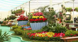 Arujá receberá Parque Permanente de Flores e Plantas para fortalecer cadeia produtiva no Alto Tietê