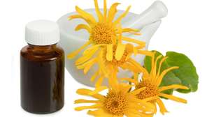 Prata, plantas e poder microscópico: conheça a inovação escondida na arnica