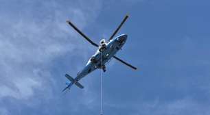 Homem é resgatado de helicóptero em estado crítico após ser picado mais de 100 vezes por abelhas nos EUA