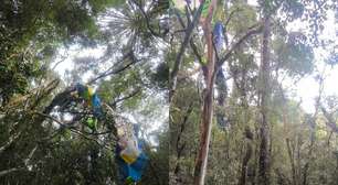 Homem morre em acidente de ultraleve na Serra Gaúcha