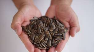 Pouca gente lembra dela, mas essa semente é uma das fontes mais concentradas de vitamina B7 para o cabelo