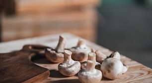 Teoria maluca? Como cogumelos mágicos podem ter moldado o cérebro humano?