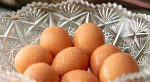 Com apenas um copo de água, você descobre se o ovo está estragado ou não sem precisar quebrar