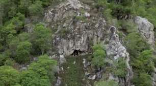 'Batcaverna do Sertão': pesquisadores descobrem cavidade com mais de 20 mil morcegos em Alagoas
