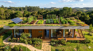 Projeto com teto jardim e horta de 72 metros quadrados recupera a área verde e reduz a temperatura interna em até 5°C