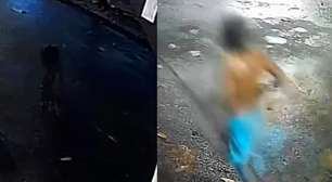 Homem mata capivara a pauladas em Boa Viagem, no Recife