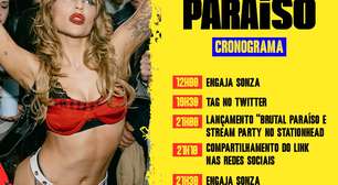 Luísa Sonza convoca fãs para impulsionar novo álbum nas paradas