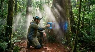 Auditor de créditos de carbono lucra 20 mil reais ajudando propriedades rurais a faturar com a preservação de florestas