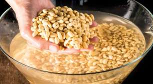 Remolho de feijão: como fazer do jeito certo para não causar gases