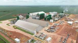 De 20 Hectares a uma Fábrica de Biodiesel: Como uma Empresa do Pará Virou Referência no Agro do Norte