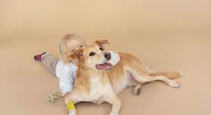 Abril Laranja: histórias infantis que cultivam amor pela vida animal