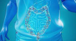 Estudo mostra que sinais no intestino podem prever diagnóstico de câncer