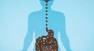 Muito além da digestão: como o intestino influencia suas emoções