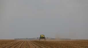 Inflação de alimentos: entenda por que comer no Brasil ficou tão caro