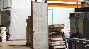 As portas de madeira tornaram-se obsoletas; inventaram portas feitas de fungos que podem até resistir ao fogo