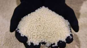 Mosaic Vai Paralisar Operações de Fosfato no Brasil