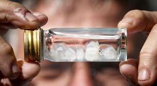 Qual a sensação das picadas mais dolorosas do mundo: 'Como um soco de Mike Tyson'