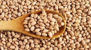 Feijão não cai bem? Veja as alternativas para manter a saúde no prato