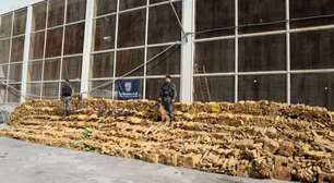 PM localiza bunker com 48 toneladas de maconha no Complexo da Maré, no Rio