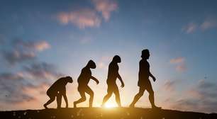 O corpo humano não é uma obra-prima do design, mas uma colcha de retalhos de concessões evolutivas