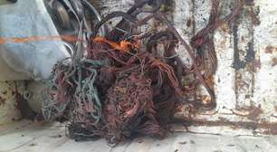 Rio sanciona lei que permite interditar estabelecimentos com cobre furtado de concessionárias