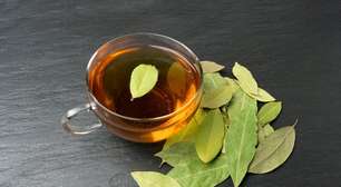 Chá de louro: 9 receitas e seus benefícios para a saúde