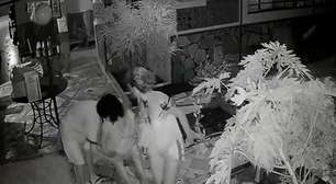 Idosa é espancada por hóspede alcoolizada em pousada no DF