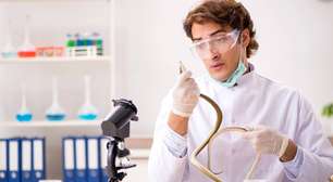 Do veneno ao antídoto: a história da ciência que transformou picadas de cobra em tratamento eficaz