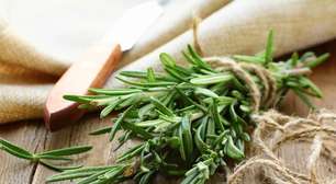 Banhos energéticos: 5 opções para atrair equilíbrio e boas energias