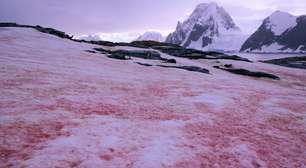 Fundar um país do zero: o mito e a realidade por trás das terras sem dono e da soberania internacional