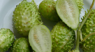 O vegetal mais esquecido é um dos mais poderosos: conheça os benefícios do maxixe e como cozinhar