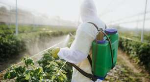 Pesticidas são prejudiciais aos micróbios intestinais