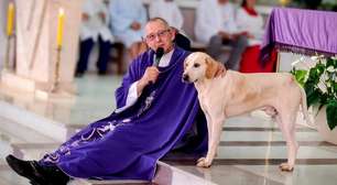 Cachorro caramelo passa a frequentar missas no Paraná e viraliza nas redes sociais