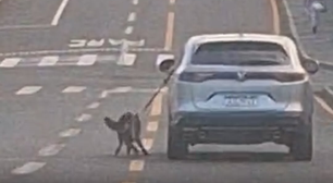 Motorista dirige carro com cachorro preso do lado de fora pela coleira no PR; veja vídeo