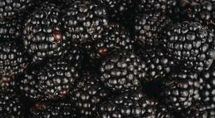 Amora: a pequena fruta que ajuda a proteger os rins e combater inflamações