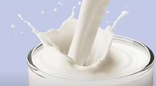 Leite de gergelim conquista espaço pelo alto teor nutritivo