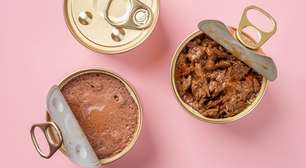Conheça os benefícios dos alimentos úmidos para os pets