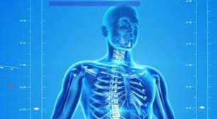 Alimentos com ferro que protegem seu corpo e previnem a anemia