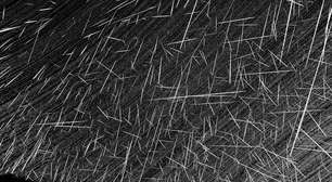 Cientista da Nasa descobre nova chuva de meteoros vinda de asteroide próximo da Terra ainda desconhecido