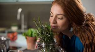 Alecrim: 5 motivos para ter em casa a planta que ajuda a limpar as energias