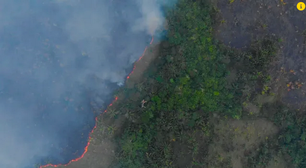 Dino cobra medidas contra organizações criminosas na Amazônia