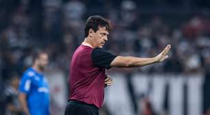 Fernando Diniz comenta sobre confusão entre comissões de Corinthians e Palmeiras após Dérbi