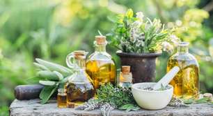 Menopausa: 6 plantas que contribuem para o bem-estar feminino