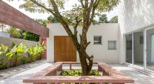 Casa em SP integra mata nativa ao brutalismo paulista