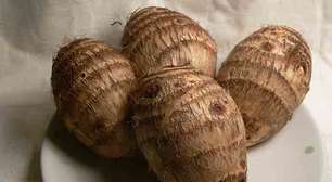 Inhame: tradição, versatilidade e benefícios em um só alimento