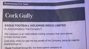 Administradora judicial coloca SAF do Botafogo à venda em anúncio de jornal inglês