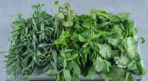 Esta é a melhor maneira de congelar ervas frescas para usar sempre que precisar