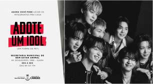 Prefeitura de Canoas se inspira no BTS para campanha de adoção animal