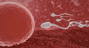 Qualidade dos espermatozoides varia de acordo com a época do ano, diz estudo